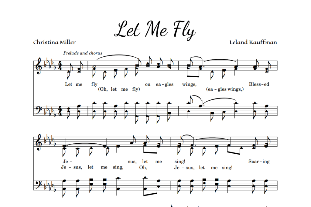 Post image for Let Me Fly