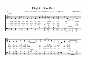 Post image for Flight of the Soul